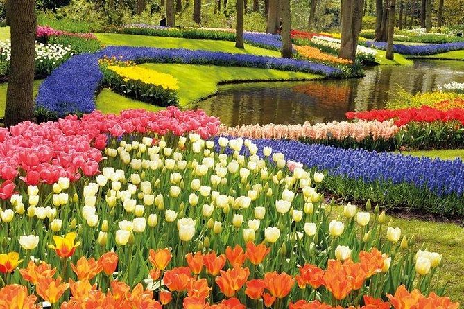 Private Tour : Keukenhof Tulips and Delft Tour From Brussels Full Day - Common questions