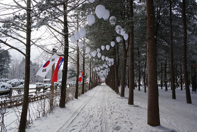 [Private Tour] Nami Island & Ski (Ski Lesson, Equip & Clothing Included) - Refund Policy Information