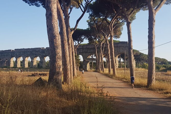 Private Tour of Rome - Golf Cart - Guide Insights