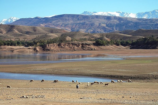 Private Tour of the 3 Valleys From Marrakech - Logistics and Meeting Points