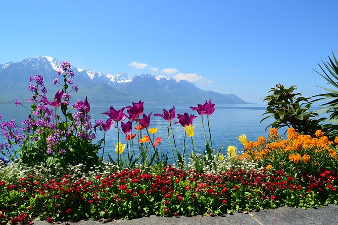 Private Tour of the Best of Geneva - Sightseeing, Food & Culture With a Local - Common questions
