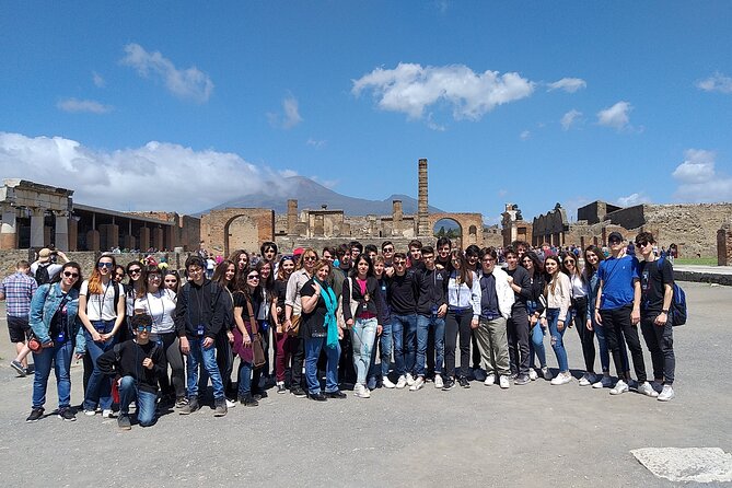 Private Tour of the Pompeii Excavations - Logistics Information