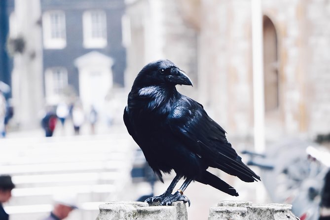 Private Tour of The Tower of London - Meet Your Expert Guides