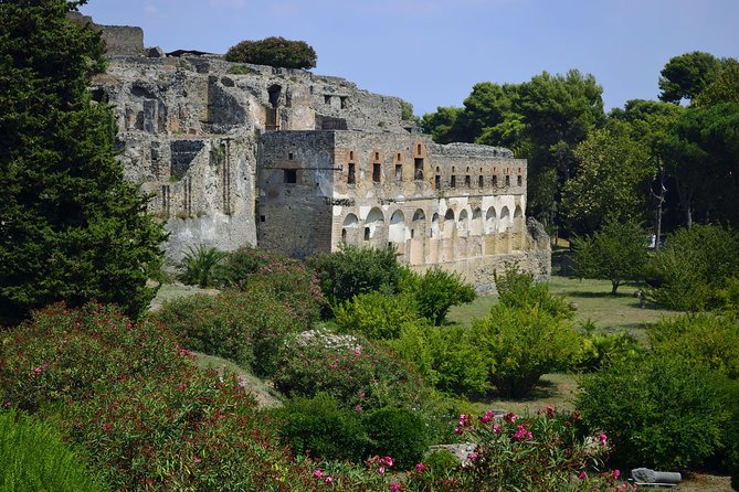 Private Tour: Pompeii Half-Day Trip From Naples - Visitor Feedback