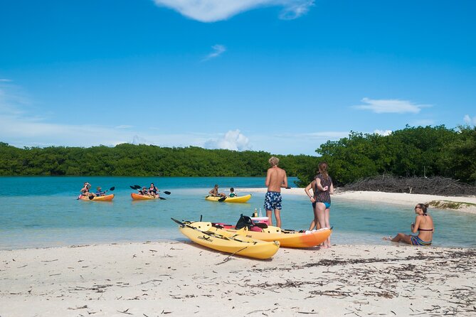 Private Tour Purple Island Mangroves Kayaking Adventure in Qatar - Booking Process