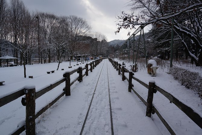 Private Tour Rail Bike & Nami Island & (Petite France or Garden of Morning Calm) - Inclusions