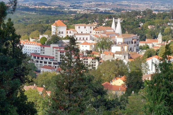 Private Tour Sintra, Palaces and Mountain Tuk Tuk(2 to 6 People) - Customer Satisfaction and Recommendations