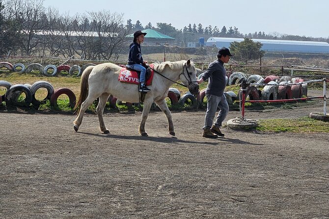 Private Tour South and West Jeju Island With Experienced Driver - Customer Reviews and Ratings