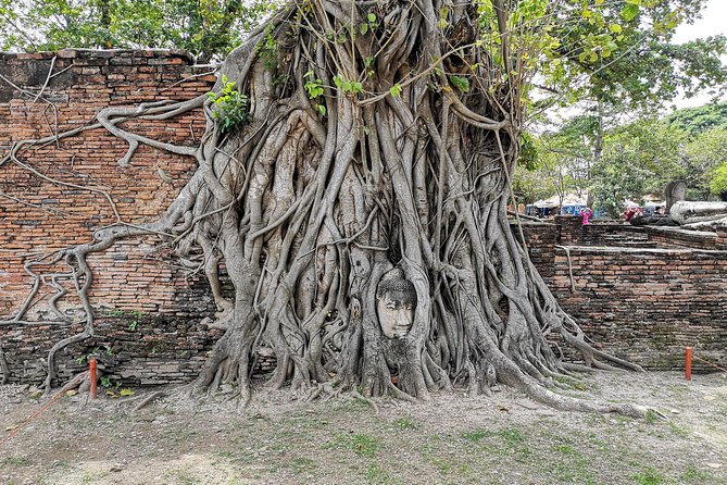 Private Tour to Ayutthaya and Lopburi Monkey Temple (From Bangkok) - Reviews and Ratings Overview