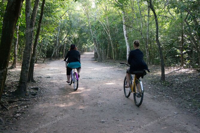 Private Tour to Coba Ruins and Swim in Cenote - Traveler Reviews and Recommendations Summary