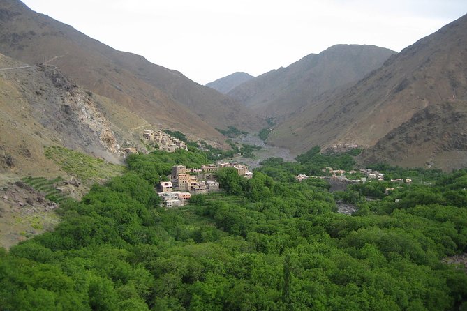 Private Tour to Imlil Valley Including Guided Hike and Lunch From Marrakech - Customer Reviews