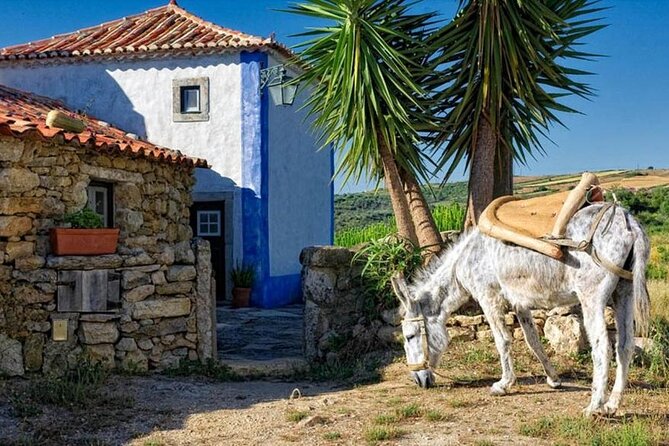 Private Tour to Mafra, Ericeira and Azenhas Do Mar - Exploring Mafra