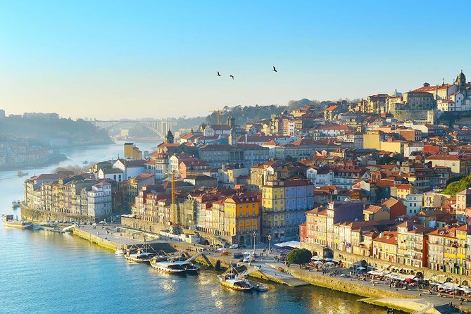 Private Tour to Porto From Lisbon Full Day - Historical Insights and Top Sites