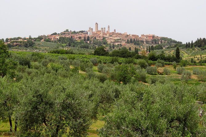 Private Tour to Siena and San Gimignano With Wine Tasting & Lunch - Pricing and Booking Information