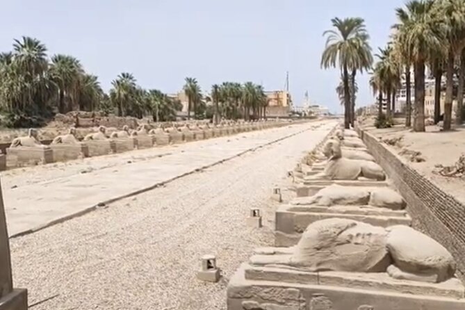 Private Tour to the Magnificent Karnak and Luxor Temples - Private Tour Benefits