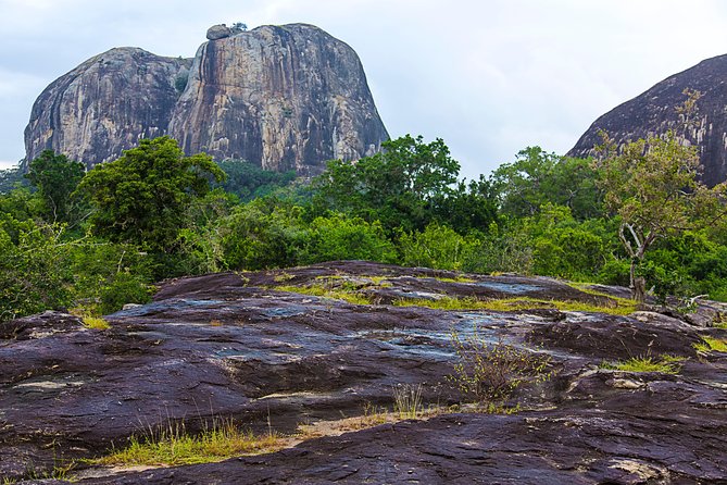 Private Tour : YALA National Park With Experienced Driver/Guide - Customer Support