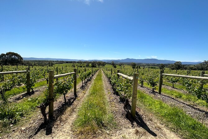 Private Tour: Yarra Valley Wine, Cheese, Bubbles & Chocolaterie - Tour Timing