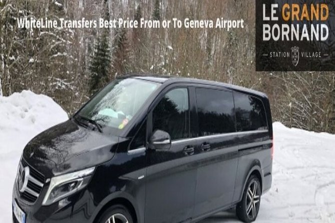 Private Transfer From Geneva Airport to Le-Grand-Bornand - Service Inclusions and Accessibility