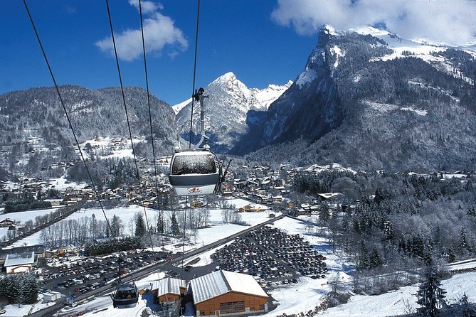 Private Transfer From Geneva Airport to Samoens - Accessibility and Policies