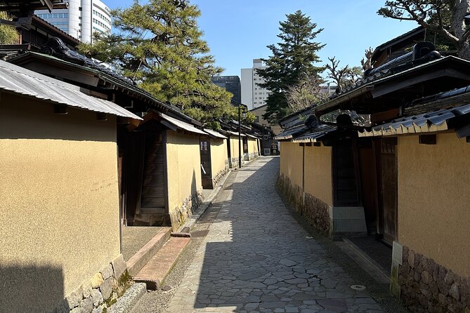 Private Walking Tour in Kanazawa With Local Guides - Group Size Options