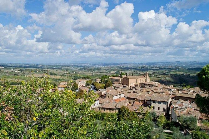 Private Walking Tour in San Gimignano With a Local Licensed Guide - Customer Reviews