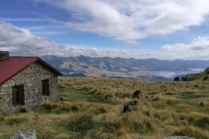 Private Walking Tour - Packhorse Hut From Christchurch - Understanding Cancellation Policies