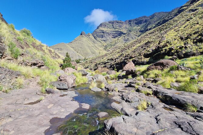 Private Wild Picnic in the North West of Gran Canaria - Additional Information and Requirements