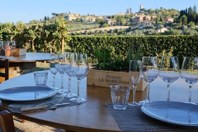 Private Wine & EVO Oil Tasting With Tuscan Meal - Venue Highlights