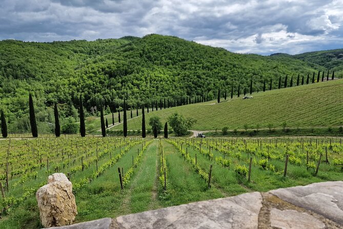 PRIVATE WINE TOURS VIP Wines and Wineries of Chianti Classico - Customer Feedback and Reviews