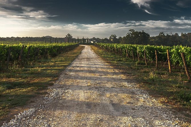 Private Winery Tour of Niagara-on-the-Lake - Customer Feedback