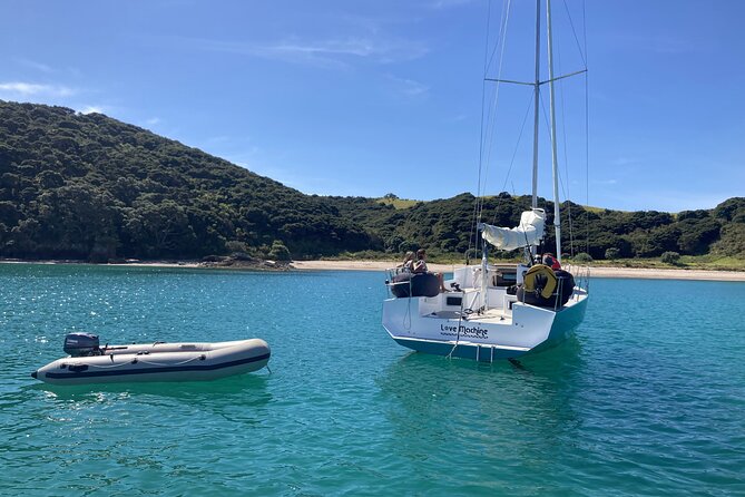 Private Yacht Charter and Island Excursions in the Bay of Islands - Reviews and Ratings