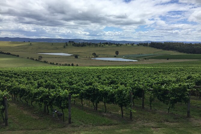 Private Yarra Valley Wine Tour - Wine Tasting Experiences