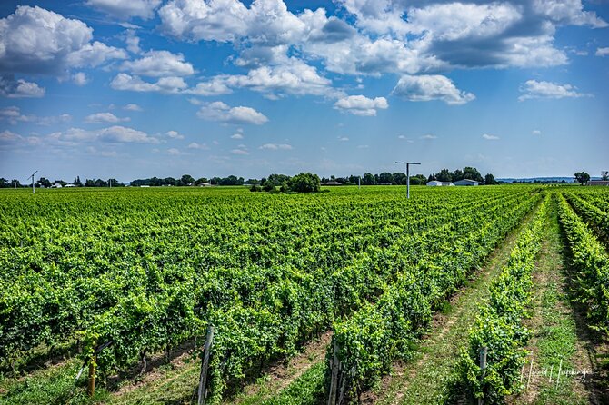 Private,Custom Niagara Escarpment-Scenic Boutique Winery Tasting Tour - Questions and Support