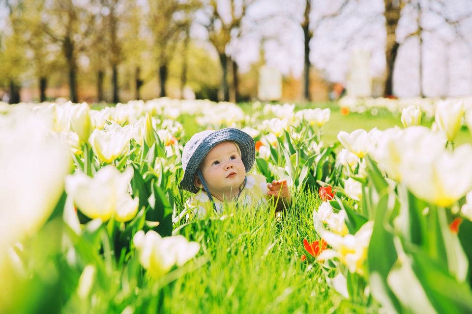 Professional Outdoor Baby Photoshoot in Amsterdam - Booking Information