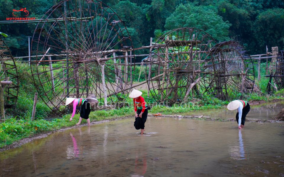 Pu Luong Trekking Tour Price 3 Days 2 Nights - Booking Information