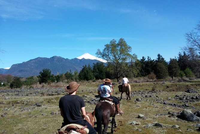 Pucon, Chile: Horseback Trail Riding Excursion  - Pucón - Participant Requirements and Restrictions