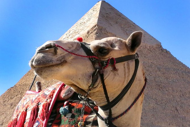 Pyramids of Giza, the Sphinx, the Egyptian Museum. - Guided Tour Experience Details