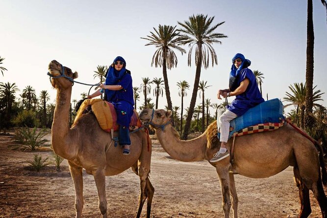 Quad and Dromedary at the Palmeraie of Marrakech With Transport - Transportation Details