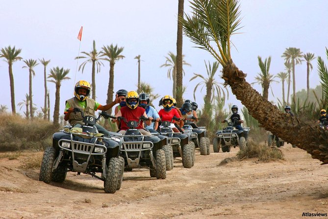 Quad Bike in Marrakech Palm Groves With Tea Break - Pricing Details