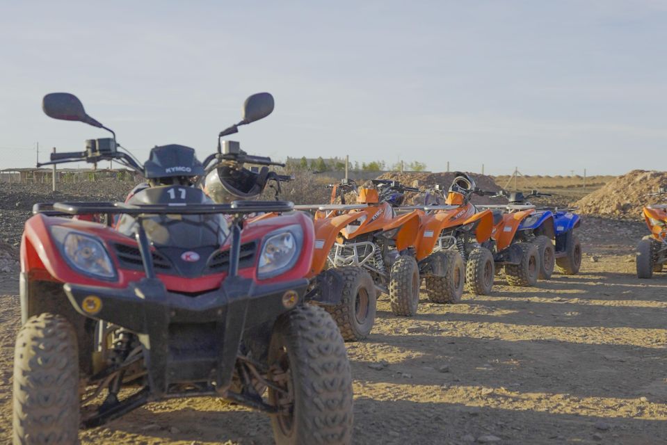 Quad Bike in the Desert & Dromedary Tour. Lunch or Dinner - Optional Activities Available