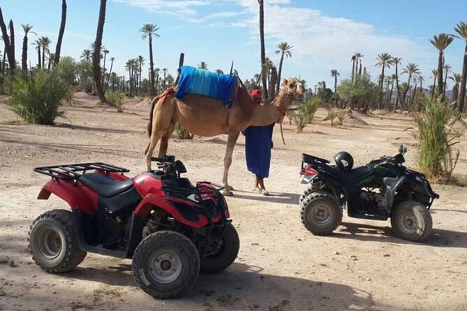 Quad Biking, Camel Ride, Hammam Combo Package  - Marrakech - Customer Support Details