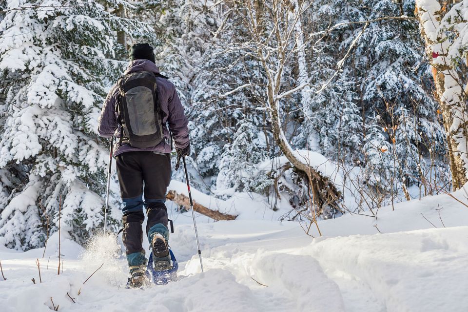 Quebec City: Jacques-Cartier National Park Snowshoeing Tour - Itinerary