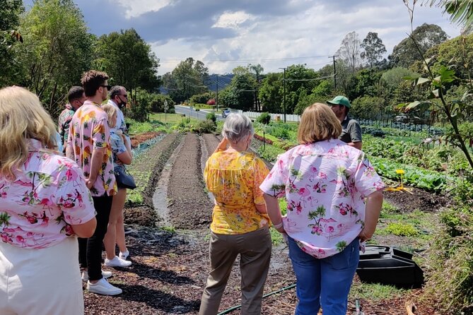 Queensland Food Tour: Farm-to-Table Indulgence - Hotel Pick-up and Drop-off Details