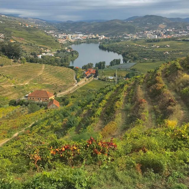 Quinta Da Pacheca: Walking With Full Lunch and Wine Tasting - Experience Highlights