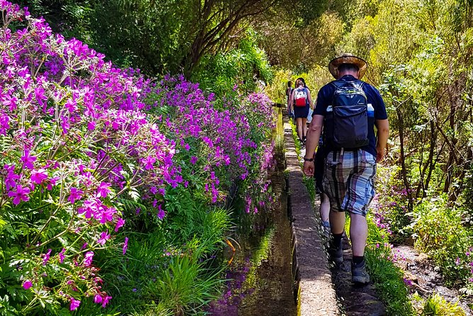 Rabaçal 25 Fontes Levada Walk in Small Groups - Traveler Reviews and Ratings