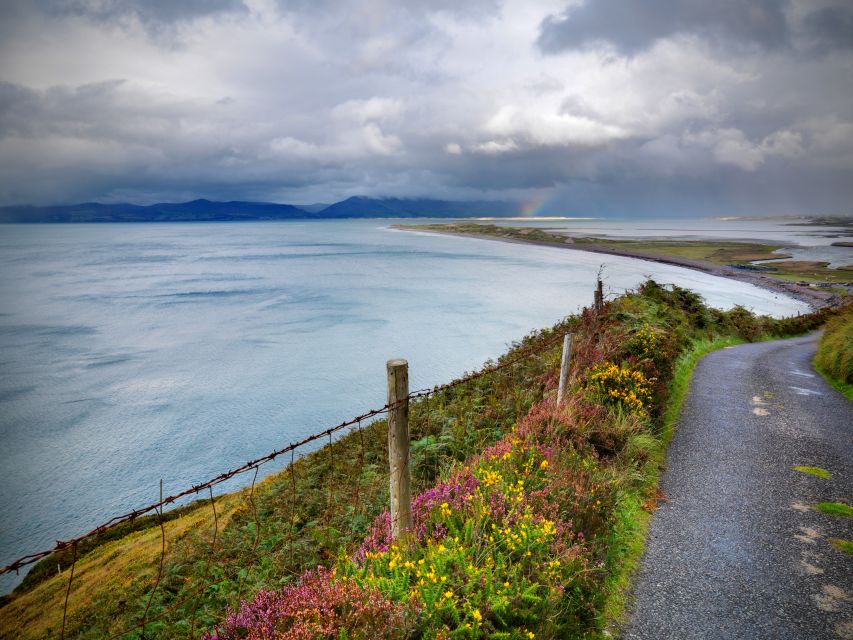 Rail Tour From Dublin: the Ring of Kerry - Booking Process