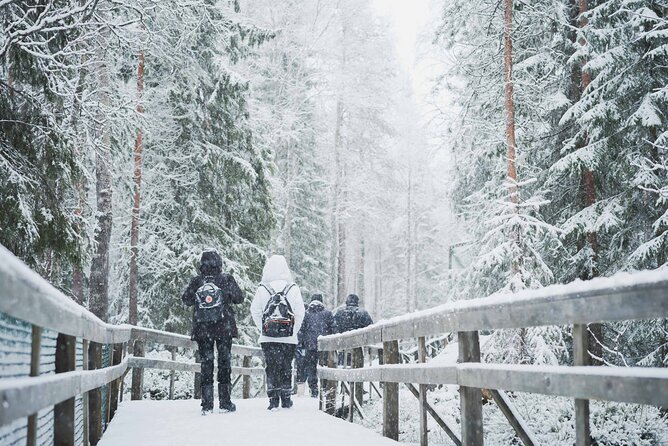 Ranua Wildlife Park Day : Visit the Arctic Animals! - Meeting and Start