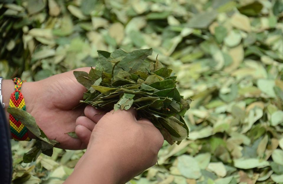Reading Your Future in Coca Leaves in Spanish - Inclusions