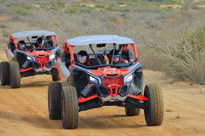 Real Baja Tour Aboard an Off-Road RZR in Los Cabos  - Cabo San Lucas - Customer Reviews