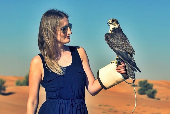 Red Dunes Safari With BBQ Dinner, Falcon and Camel Ride - Traveler Feedback and Reviews